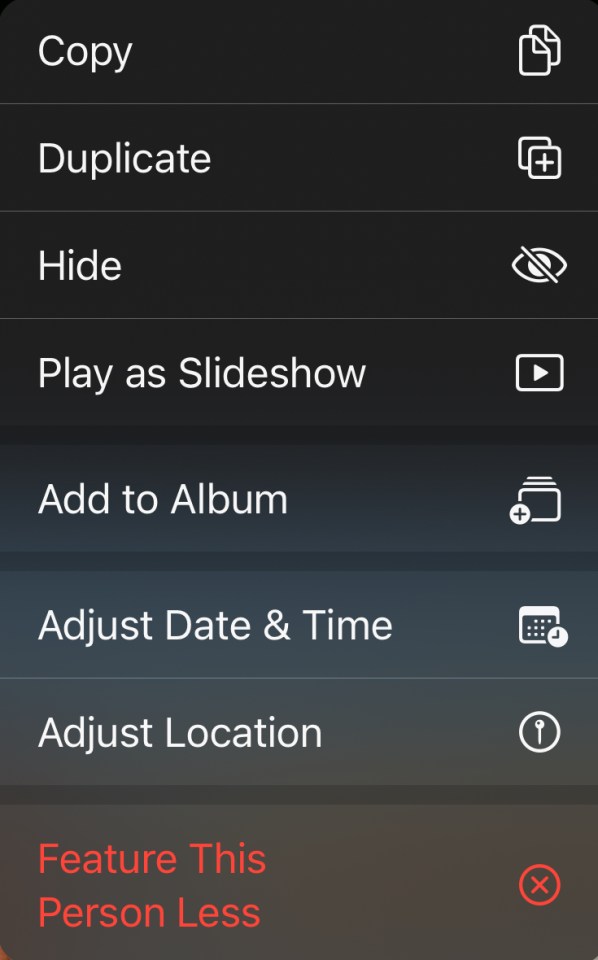 Screenshot of photo options: copy, duplicate, hide, slideshow, add to album, adjust date & time, adjust location, and feature this person less.