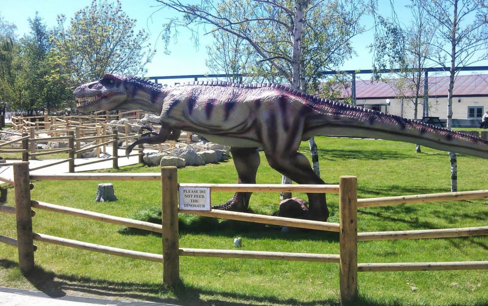 Life-sized dinosaur model behind a fence with a "Please do not feed the dinosaur" sign.