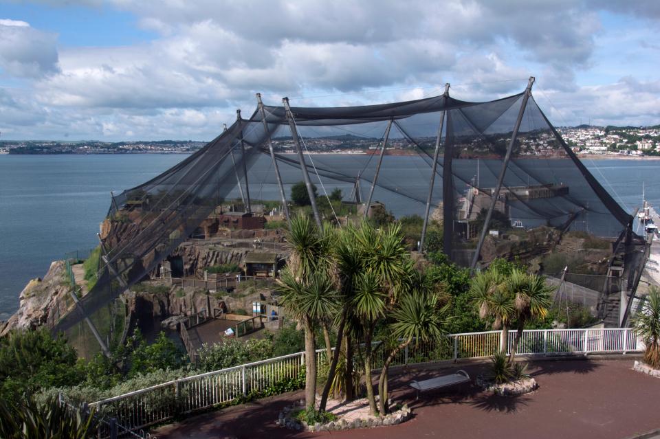 Ground-level view of a large netted bird enclosure at Living Coasts, overlooking the water.