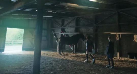 A dark horse in a barn with two people.
