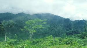 Misty mountains in Papua New Guinea.