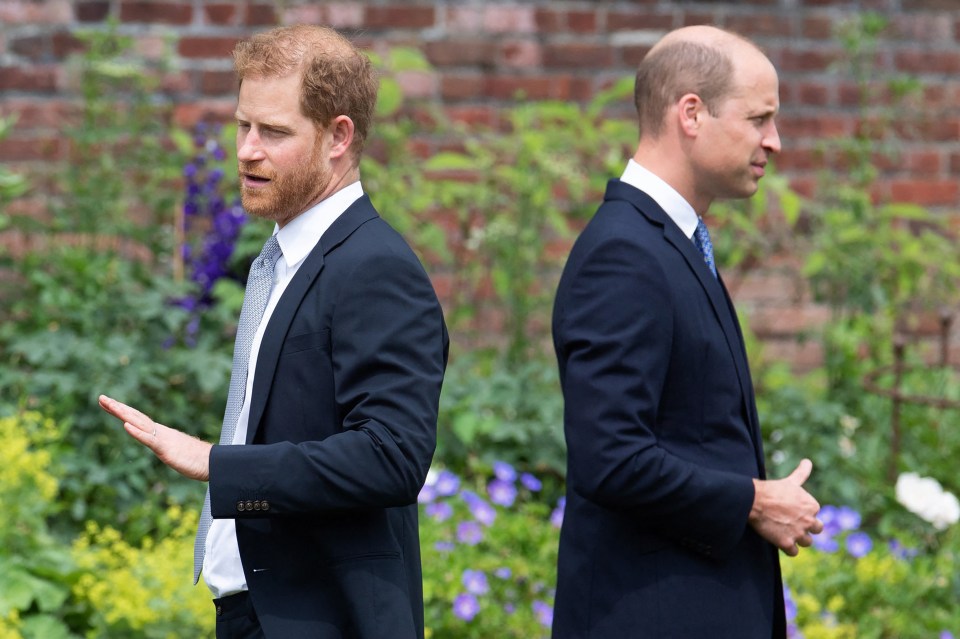 Prince Harry and Prince William at Princess Diana's statue unveiling.