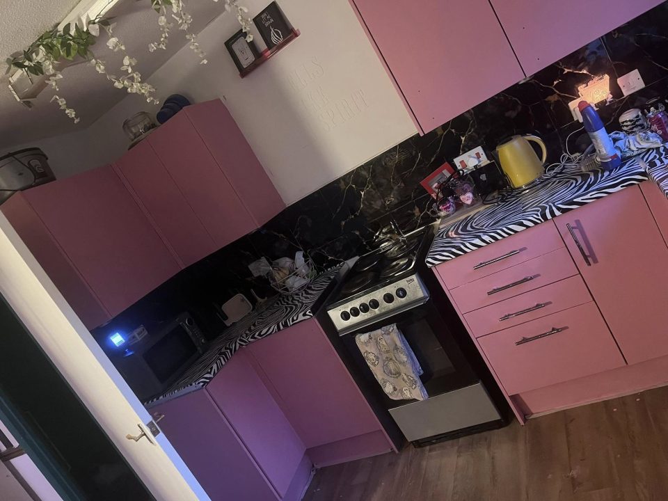 Pink kitchen with zebra-striped countertops.
