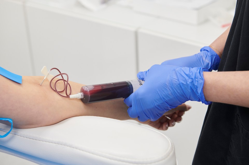 Blood being drawn from a patient's arm.