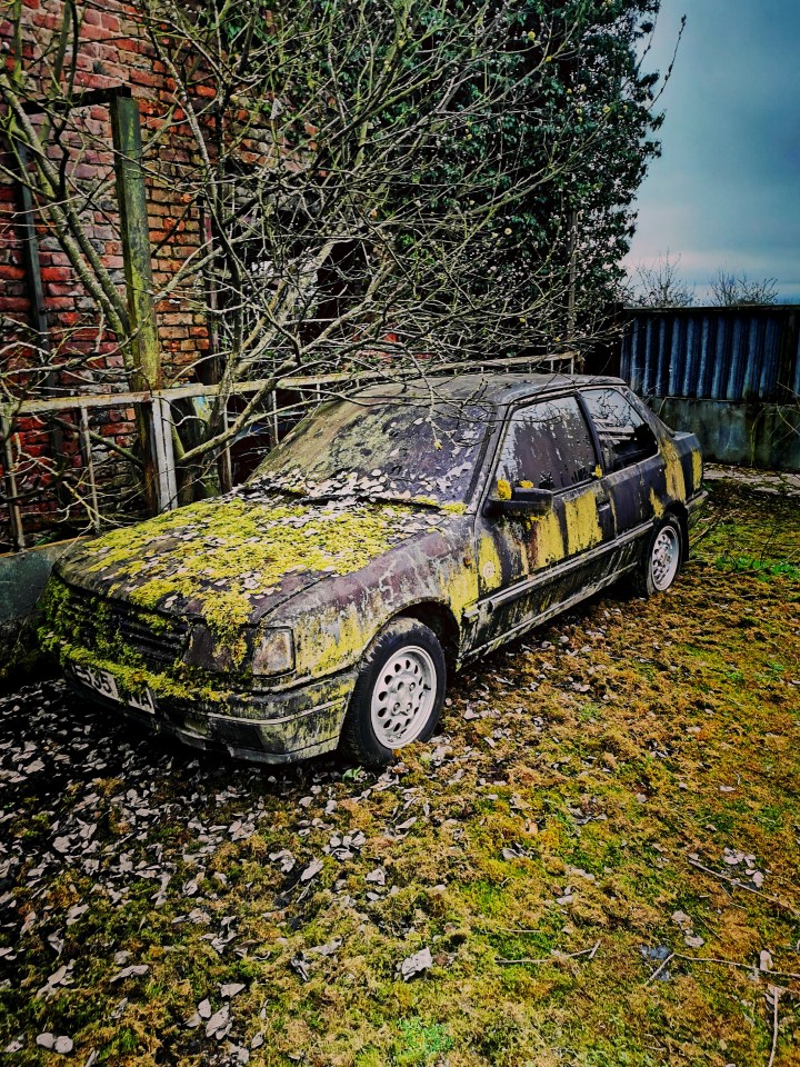 Moss-covered car in overgrown yard.