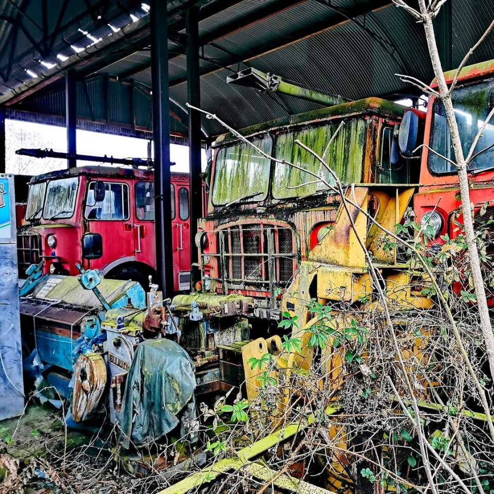 Decaying fire engines and vintage cars overgrown with vegetation.