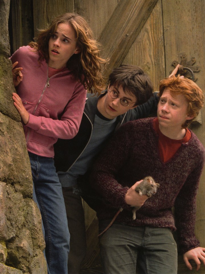 Harry Potter, Hermione Granger, and Ron Weasley looking cautiously at something. Ron is holding a rat.