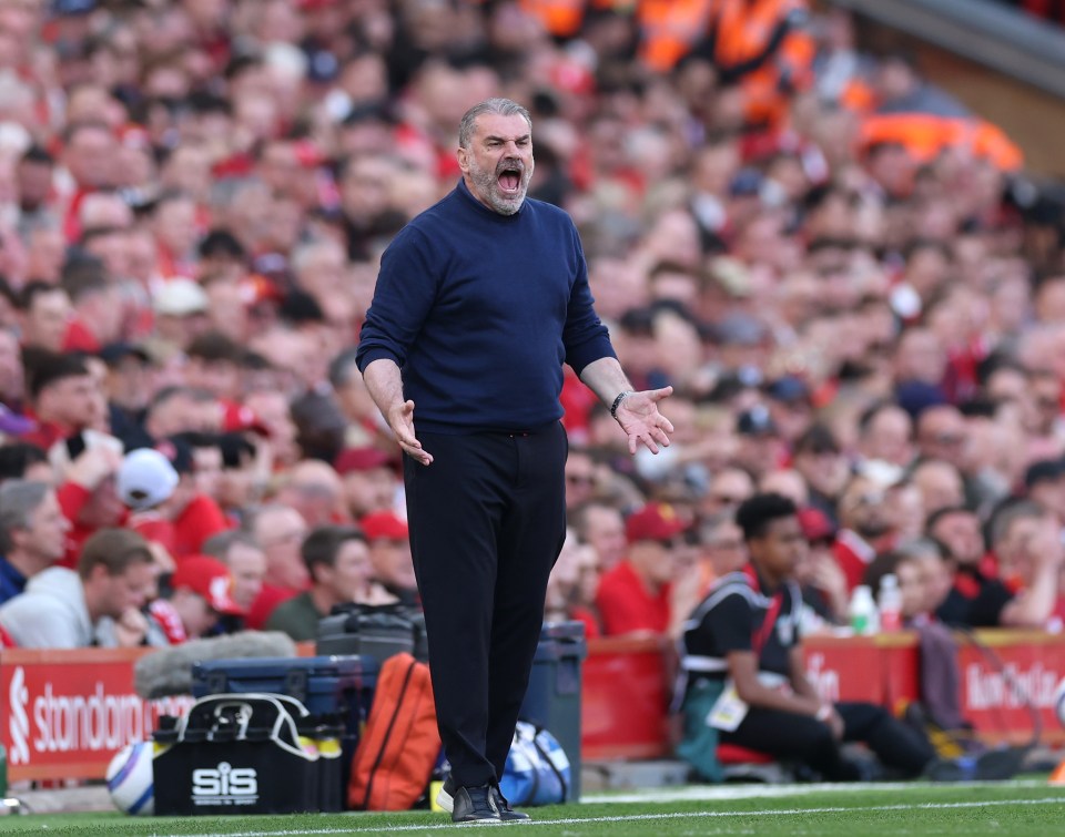 Ange Postecoglou, manager of Tottenham Hotspur, reacts during a Premier League match.