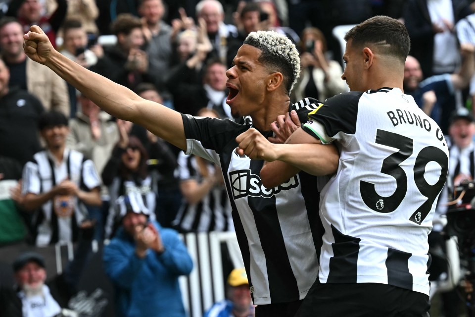 Newcastle United players celebrating a goal.
