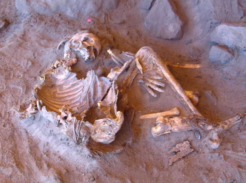 Ancient human remains unearthed in the Green Sahara.