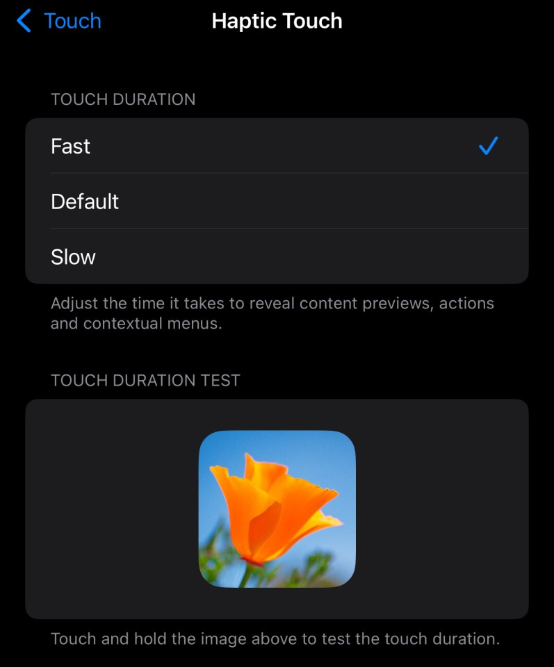 iOS screen showing haptic touch settings and a test image of an orange flower.