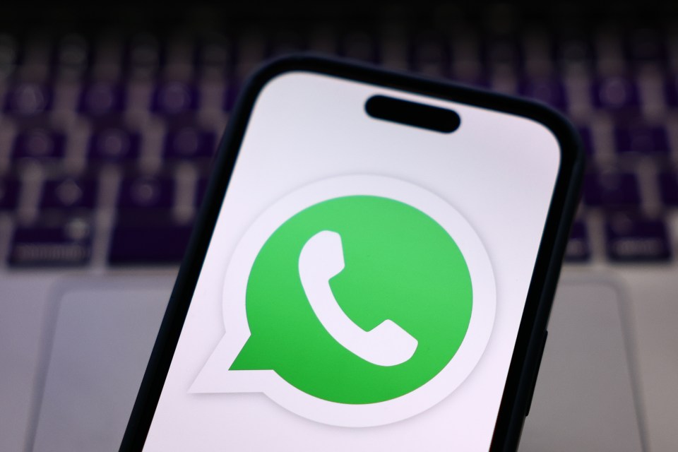 Illustration of the WhatsApp logo on a smartphone screen.