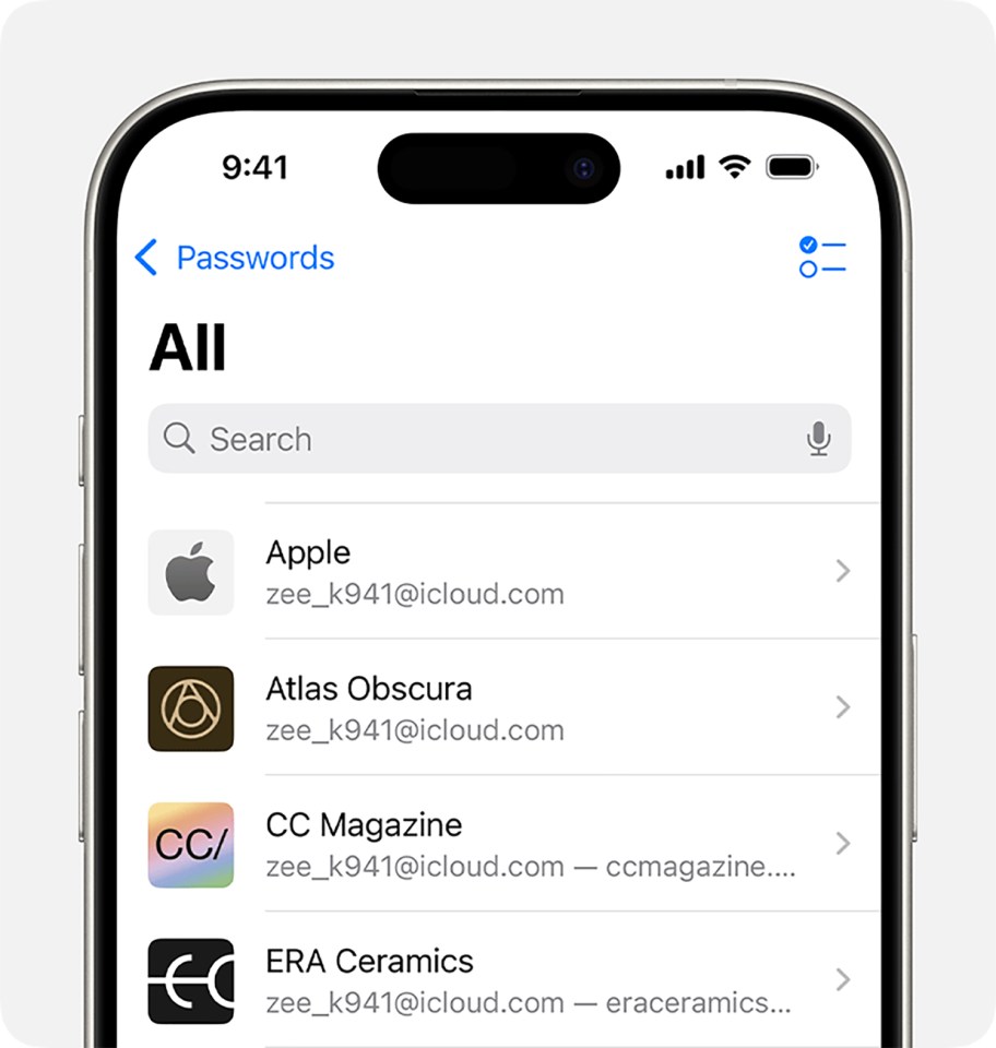 iPhone screen showing saved passwords.