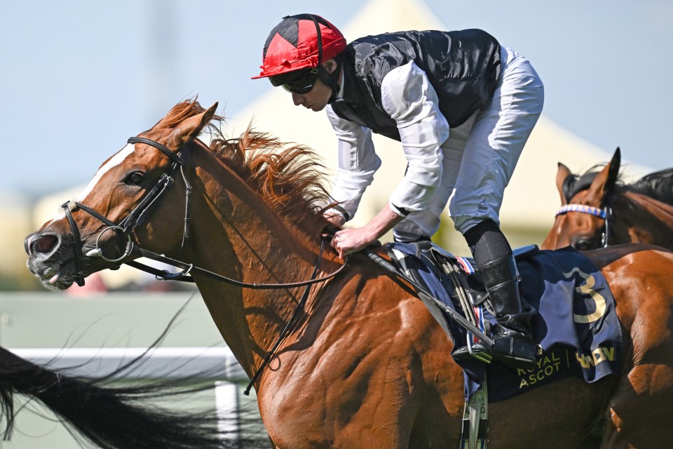Jockey riding a brown horse at Royal Ascot.