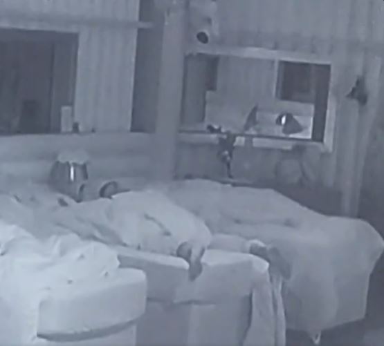 Low-light image of two people in bed.