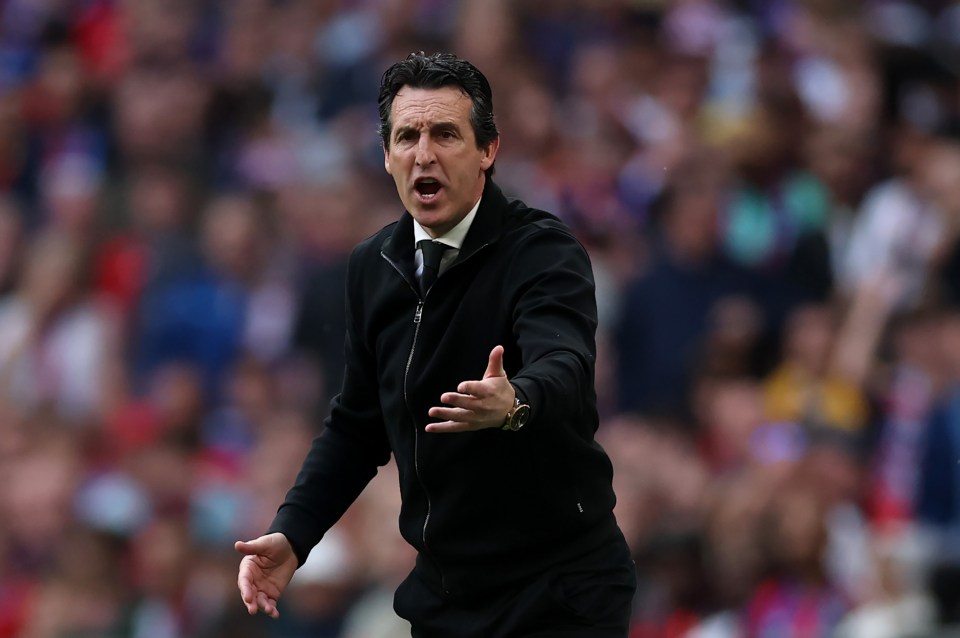 Unai Emery, Aston Villa manager, reacting during a match.