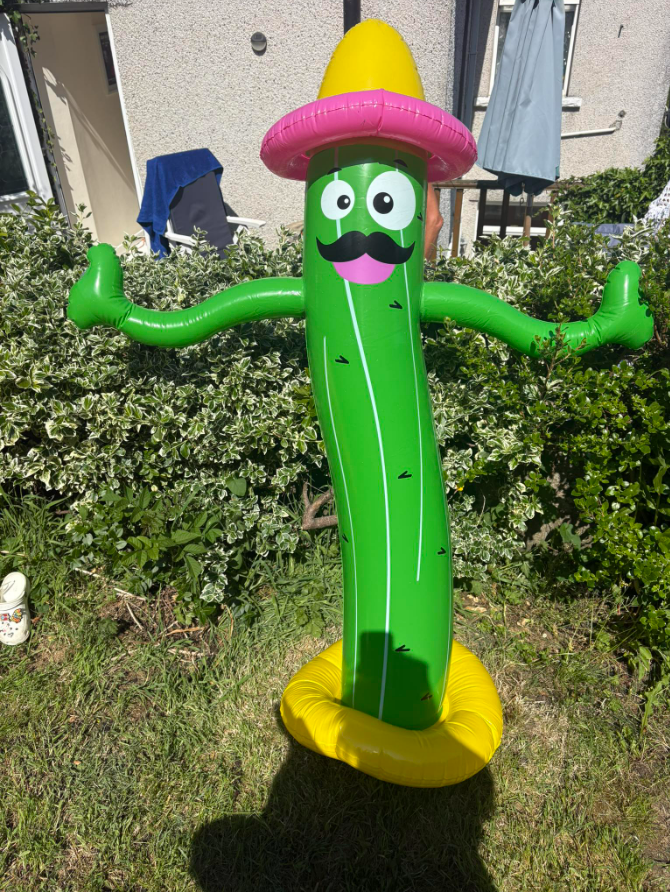 Inflatable cactus wearing a sombrero.
