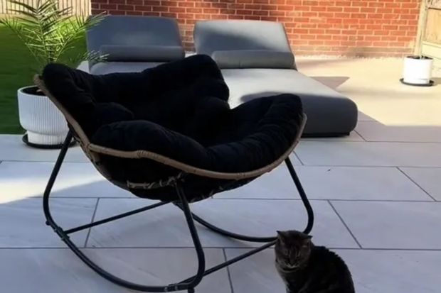 An image collage containing 1 images, Image 1 shows Black rocking chair on patio with cat