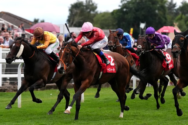 Horses racing at Royal Windsor Racecourse.