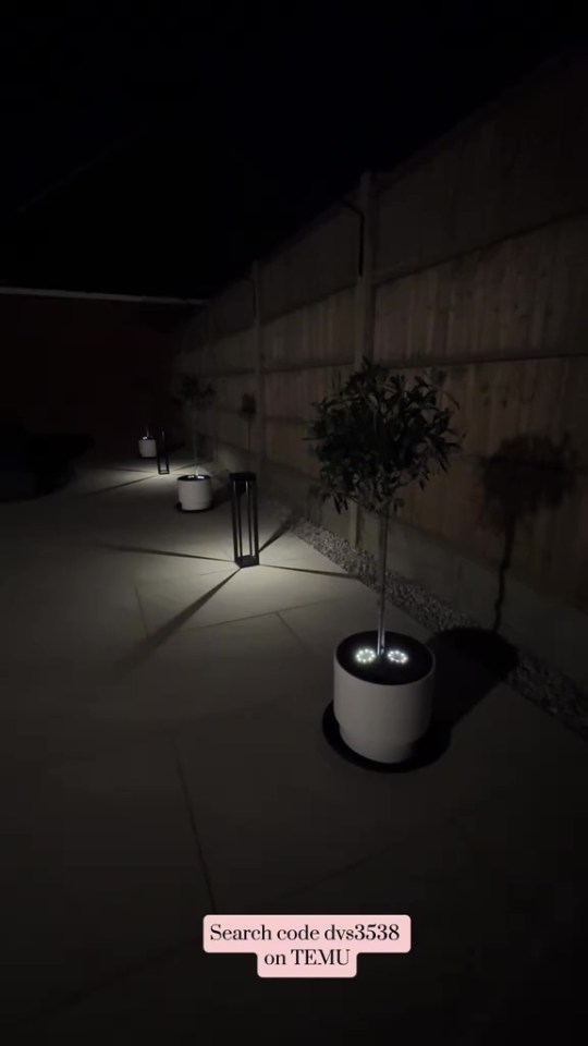 Nighttime view of a garden path with potted plants and illuminated pathway lights.
