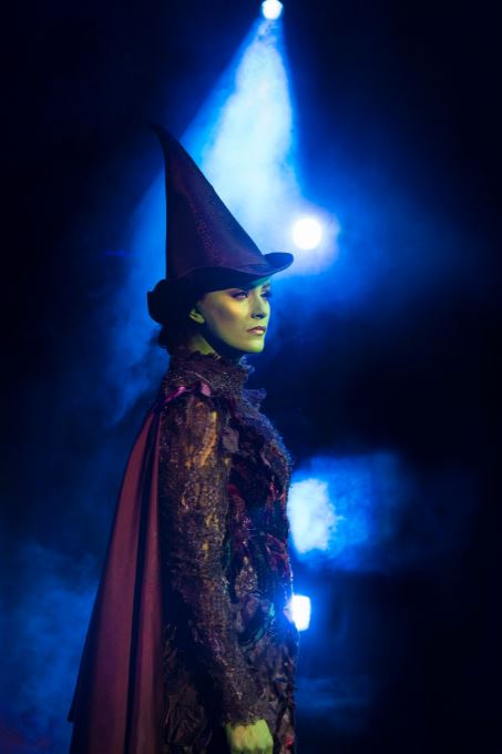 Woman in Elphaba costume from Wicked.