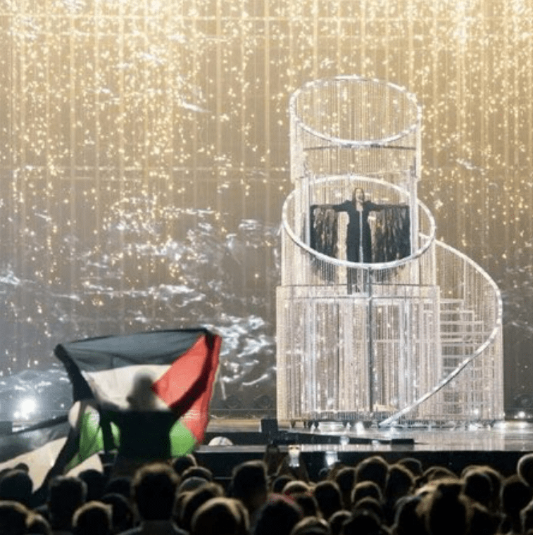 Singer on stage with Palestinian flag in audience.