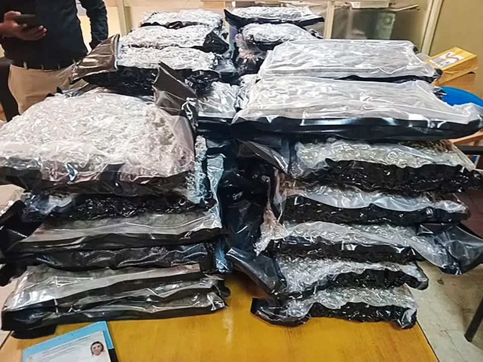 Stacks of sealed bags of confiscated drugs.