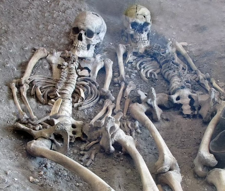 Two skeletons in a mass grave.