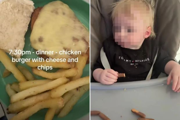 An image collage containing 2 images, Image 1 shows Chicken burger with cheese, chips, and a bun, Image 2 shows Baby eating sausage rolls in a high chair