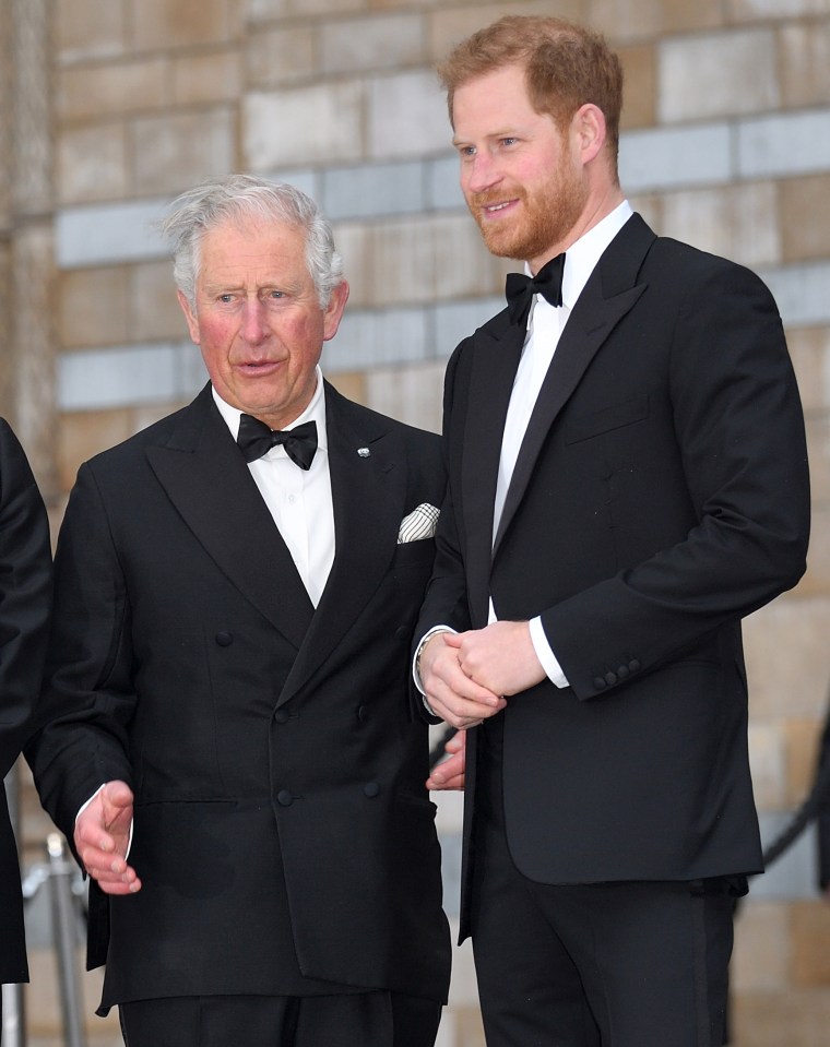 Prince Charles and Prince Harry at an event.