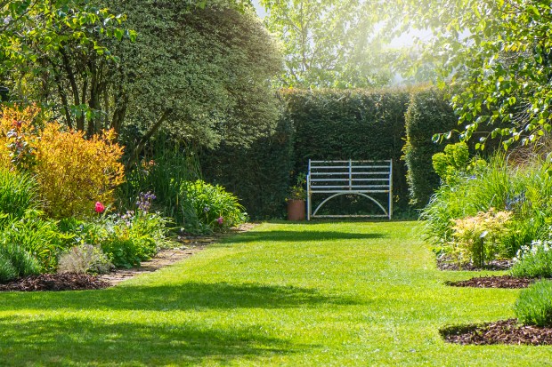 Rusty wrought-iron bench in a sunny garden.
