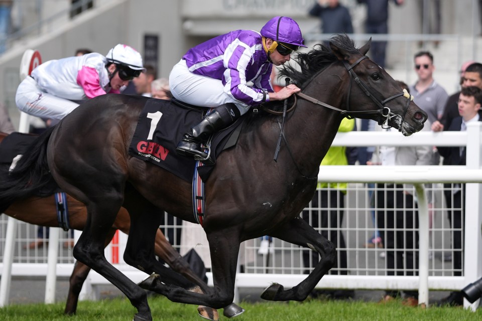 Albert Einstein winning the GAIN Marble Hill Stakes at The Curragh Racecourse.