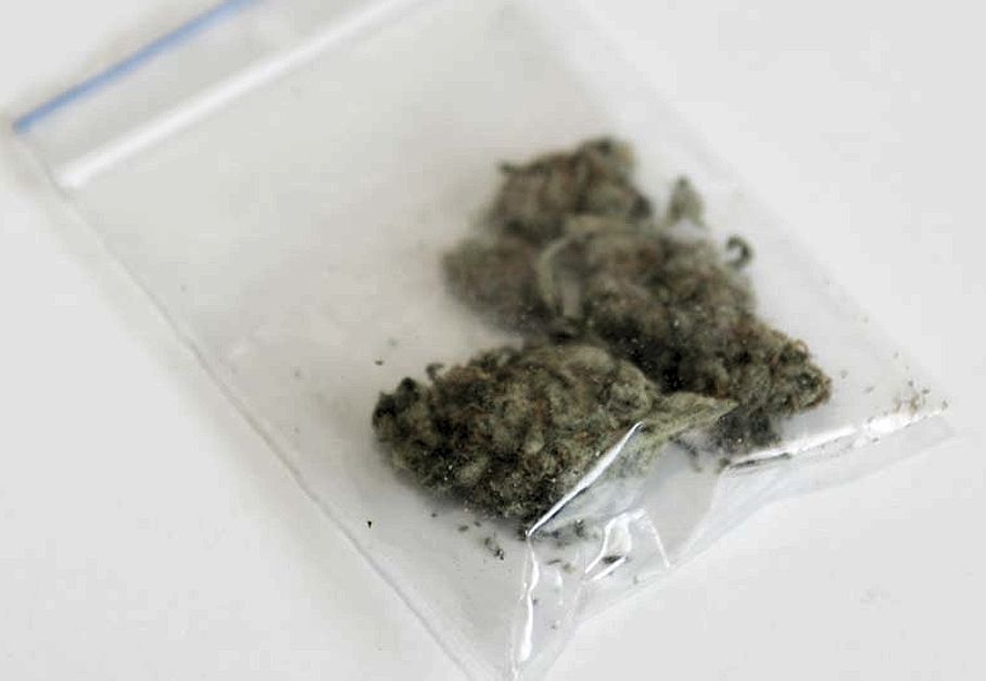 Cannabis