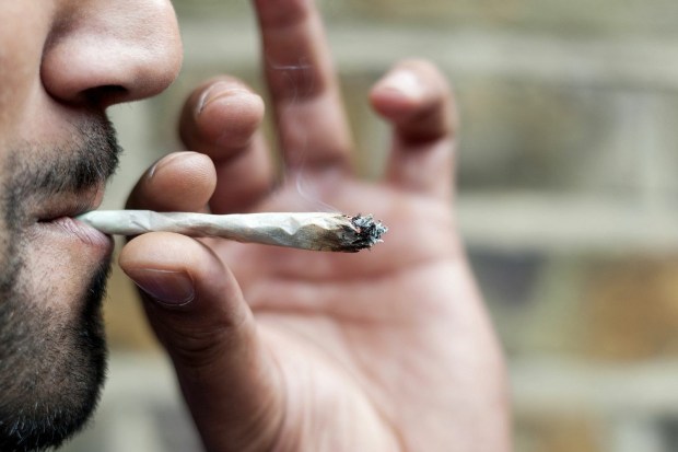 Cannabis is legal in the state