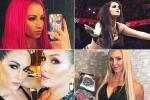 WWE Divas including Paige, the Bella sisters, Charlotte, Sasha and Banks