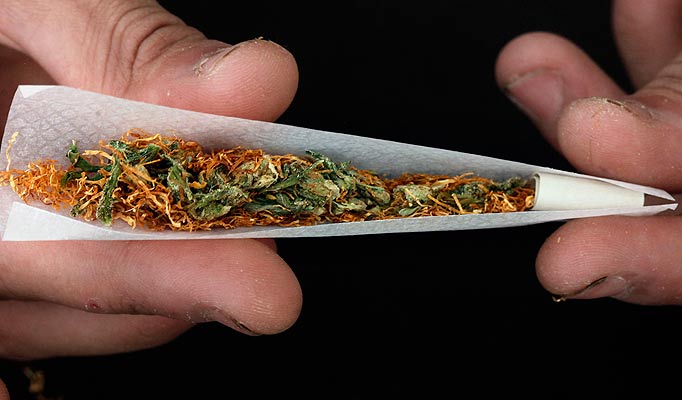 Cannabis