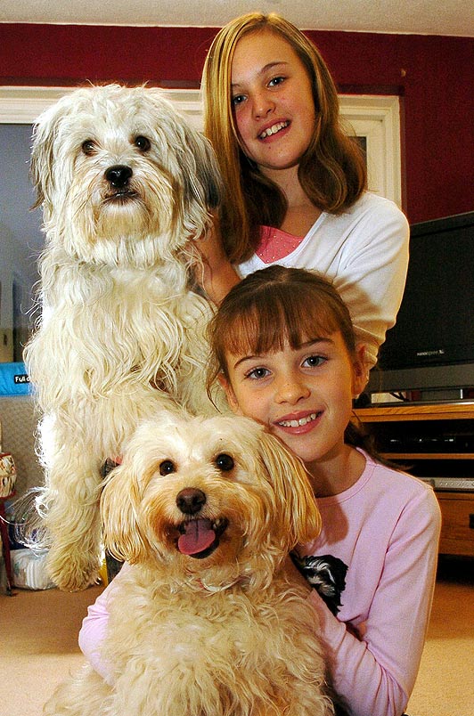 Britains Got Talent