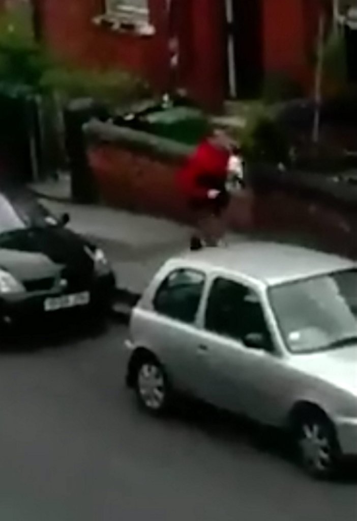 It's not clear whether the owner and the dognapper knew eachother