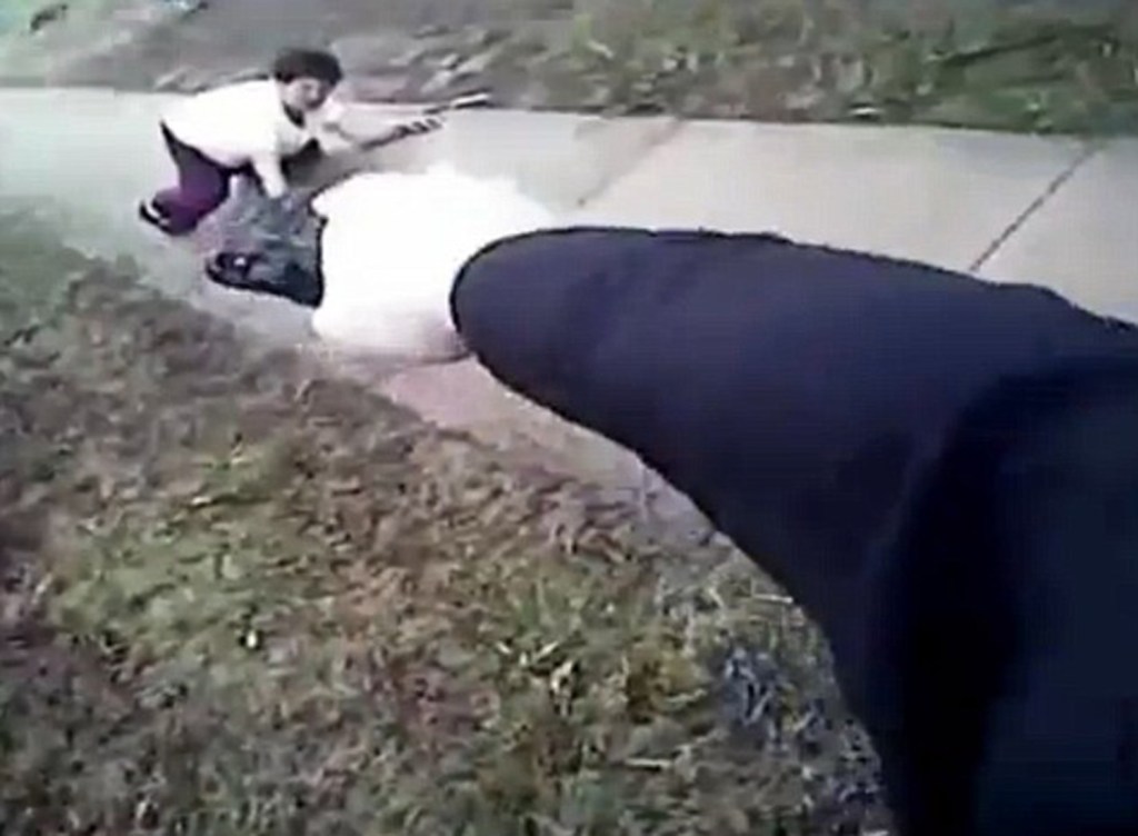 Officer Bloch fires five shots before Vo falls to the ground