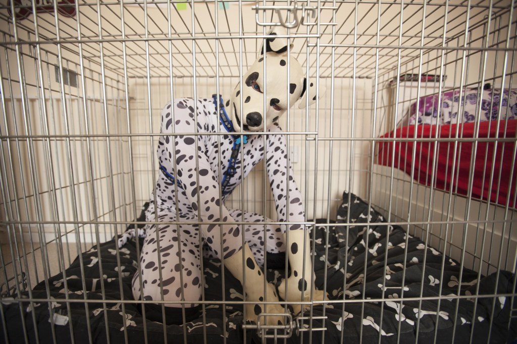 Human dog ... Weird docu sheds light on people living extraordinary double lives