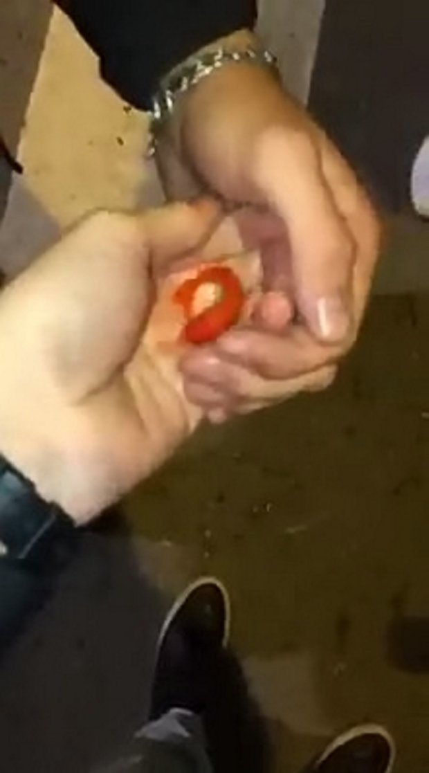 Fish