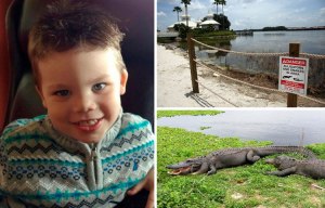 Disney World puts up a fence around the lagoon where tragic two-year-old boy was snatched by an alligator