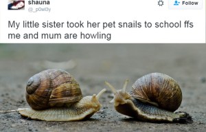 Girl devastated after teacher throws her pet snails out of the window… but mum thinks it’s hilarious