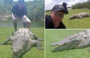 Alligator Golf Mexico