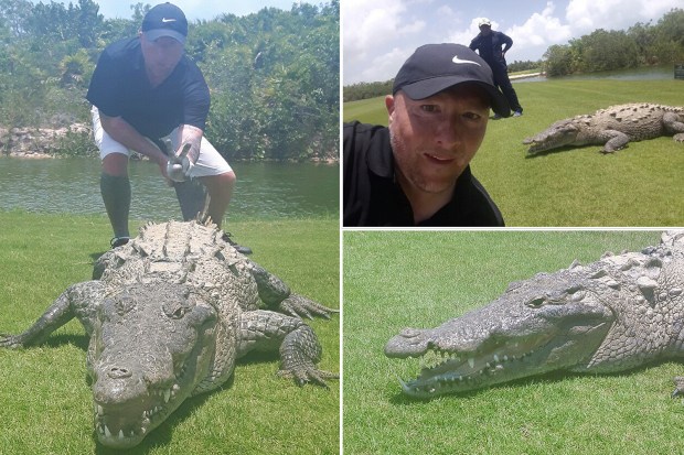 Alligator Golf Mexico
