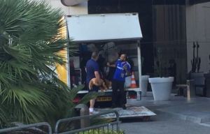 Mascot Leo the Lion follows Roy Hodgson onto the scrapheap after he was pictured being thrown onto a van