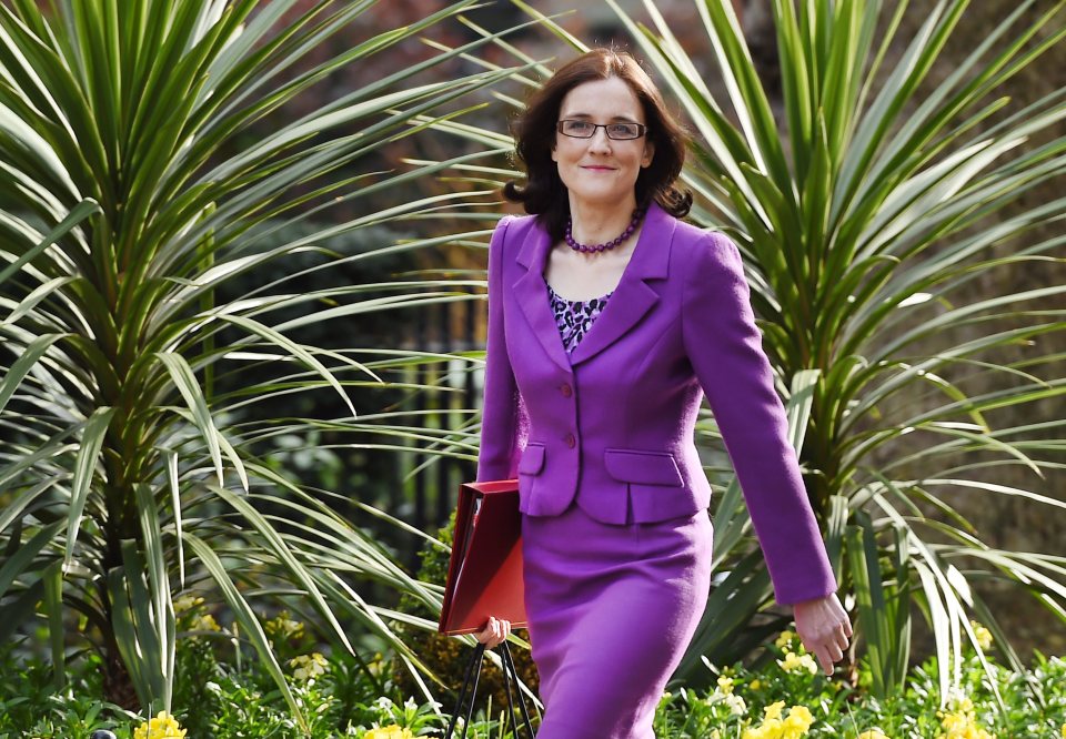 Theresa Villiers