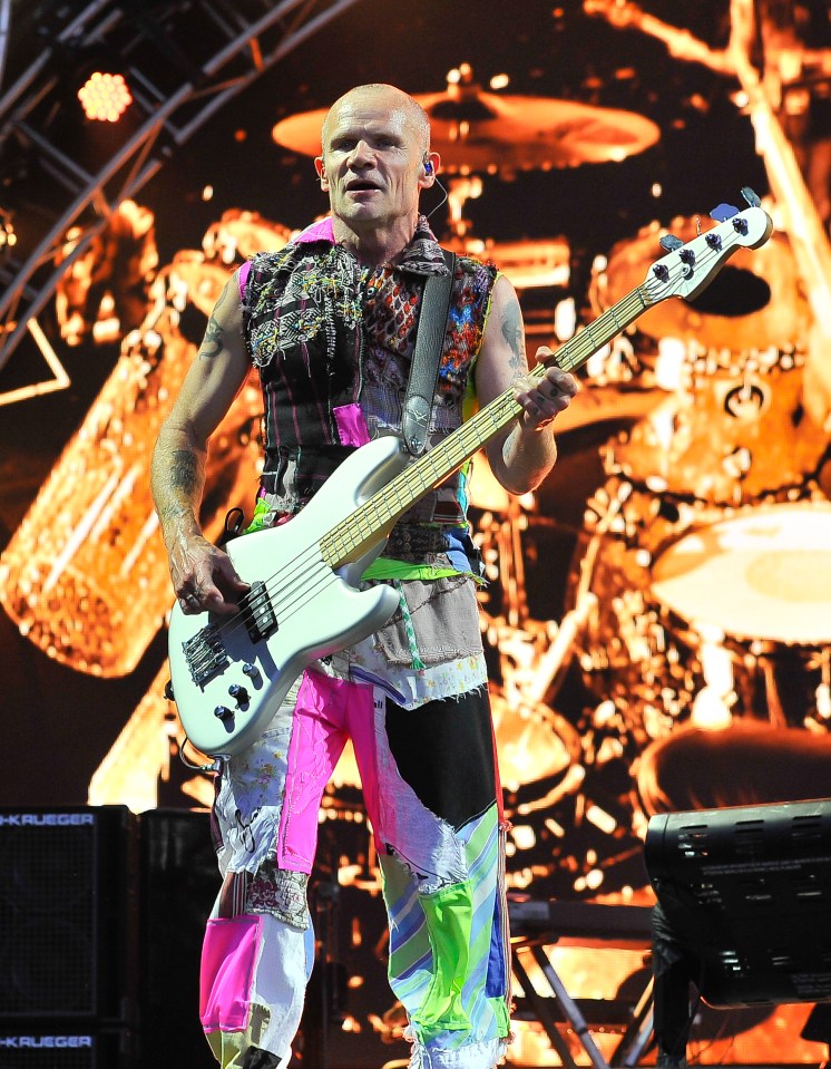 Bass Guitarist, Flea, was worried he would never play again after breaking his arm skiing
