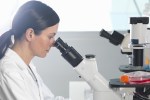 Scientist viewing cultures under inverted microscope for medical and pharmaceutical research