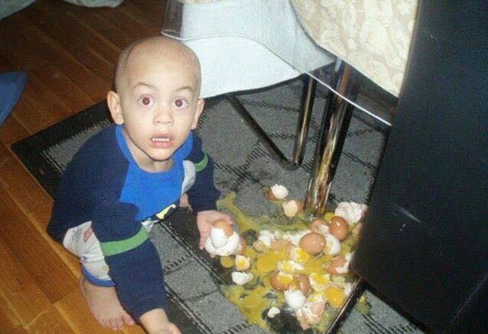 eggs